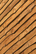 Wood texture