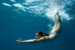 Photo : Underwater view of a woman swimming in the ocean