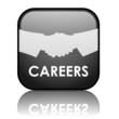 Square vector "CAREERS" button with reflection (black)