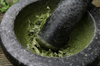 Stevia im Mörser