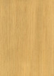 Wood texture