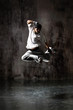 Photo: dancing dancing