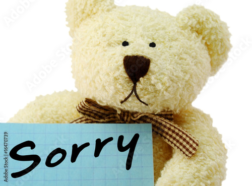 teddy with sorry