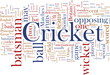 Cricket word cloud