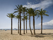 Playa de Benidorm