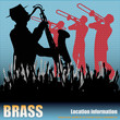 Brass Background Brass Background