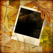 autumn background with instant frame