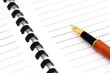 Stylo plume sur bloc note vierge Stylo plume sur bloc note vierge