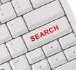Search button