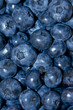 Blueberries