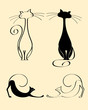Cats. In my portfolio you'll find images of the same series