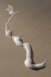 Ecume sur la plage de Berck-sur-mer (Côte d'Opale) Ecume sur la plage de Berck-sur-mer (Côte d'Opale)