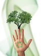 Partisan écologique
