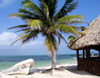 Punta  Allen