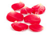 rose petals