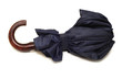 umbrella isolated