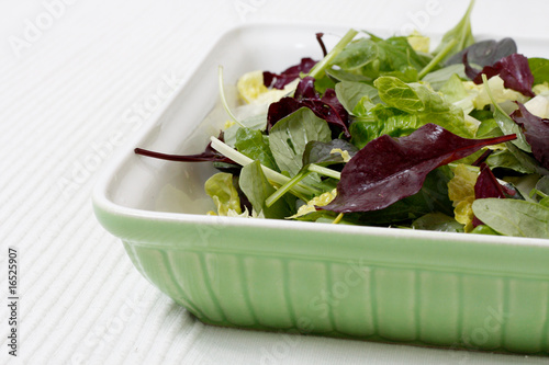 Photo: Salad Salad