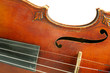 Part of violin on white background.