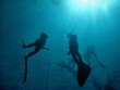 Freediving