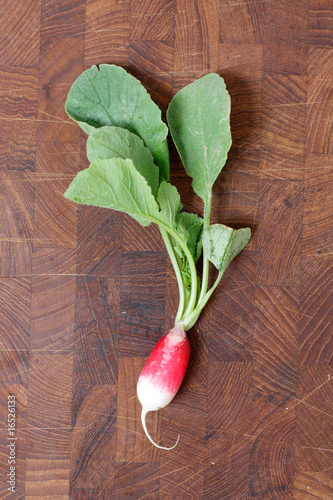 Photo: Radish Radish