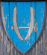 Viking Shield