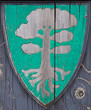 Viking Shield