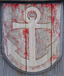 Viking Shield