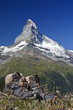 Blick auf das Matterhorn in der Schweiz