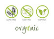 Vector: Food symbols - gluten free, sugar free, organic, vegetarian Food symbols - gluten free, sugar free, organic, vegetarian