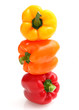 PEPPER TOWER THREE COLORS