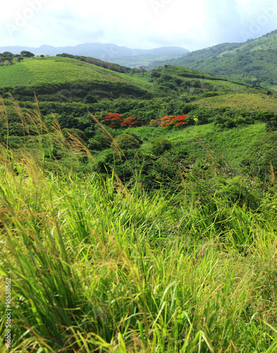 Photo: LANDSCAPE LANDSCAPE