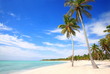 WHITE SAND BEACH