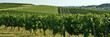 Coteaux et vignes