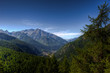 Montagne panorama e foresta