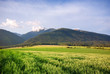 Landscape  - meadow and mounaints
