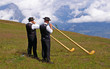 Der Ruf des Alphorns