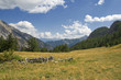 valle stretta