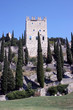 Il castello di Arco di Trento 10