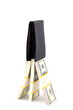 The rocket, ready to fly up, from rolls of money and purse