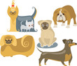 Dogs breeds