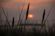 Sonnenuntergang