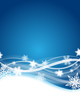 winter flyer winter flyer