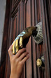 Llamador de cobre 02