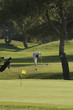 golfer preparing to tee off