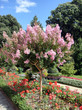 allées du jardin allées du jardin