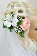 Beautiful wedding hairstyle with flowers and bridal veil Beautiful wedding hairstyle with flowers and bridal veil