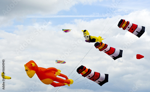 Photo: Lots of kites in sky Lots of kites in sky