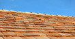 Tetto di legno e cielo 03