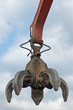 Claw