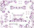 Set of beauty floral elements